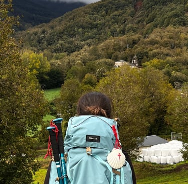 caminho de santiago mulher vendo o horizonte