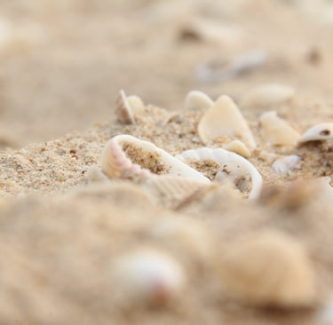 Plage de Grand-Popo