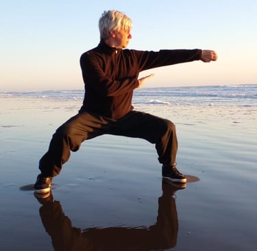 Sifu Anibal Tanus Choy Li Fut
