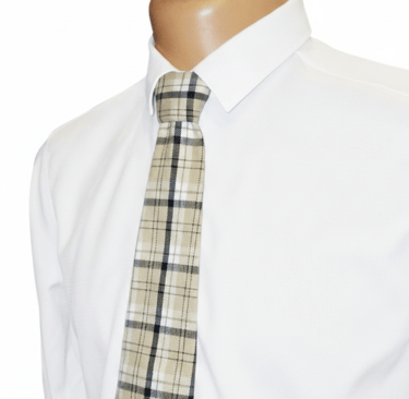 Vyriškų ir vaikiškų kaklaraiščių kategorijos nuotrauka