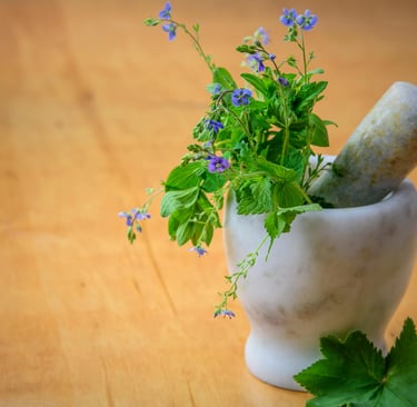 Holistic Approaches to Anxiety Healing