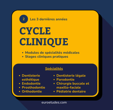 Schéma des spécialisations lors d'études dentaire en roumanie