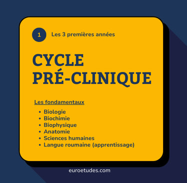 Schéma des enseignements fondamentaux appris lors d'études dentaire en Roumanie