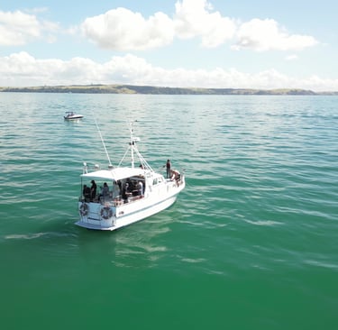 Auckland Fishing in Waiheke waters