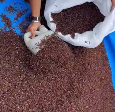 HIGH QUALITY CLOVES AB6