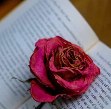 Dried pink rose placed on an open book, evoking themes of healing, tenderness, memory, reflection