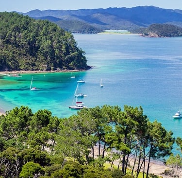 Bay of Islands  sailing adventure