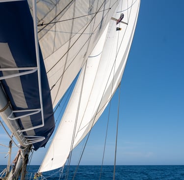 Understand good sail trim