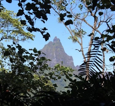 socitey islands