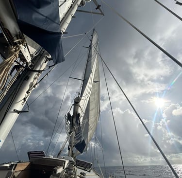 New Sails for Wind Shift
