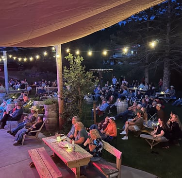 crowd enjoying live outdoor music in expansive backyard by the creek. 