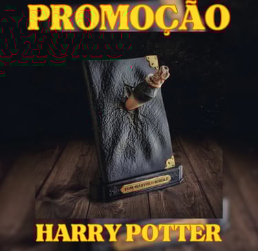 presente harry potter tom riddle