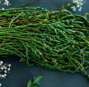 A large bundle of freshly foraged wild asparagus spears with thin green stems on a dark surface