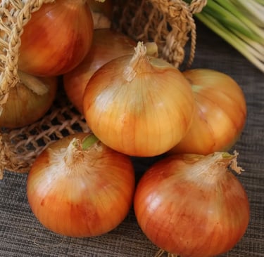 Les oignons. Une saveur qui accompagne beaucoup de vos recettes.