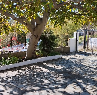 Η αυλή στο Σπίτι του Νάκου κάτω από τον ίσκιο της καρυδιάς