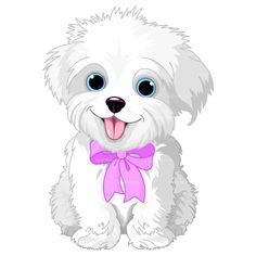 A Maltese Puppy with a purple bow tie