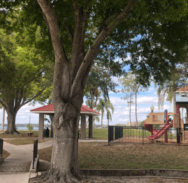 A park by Lake Jackson with trees and a playground