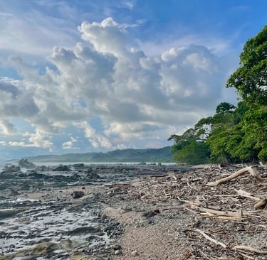 Mal Pais Costa Rica Mittelamerika Montezuma Santa Teresa