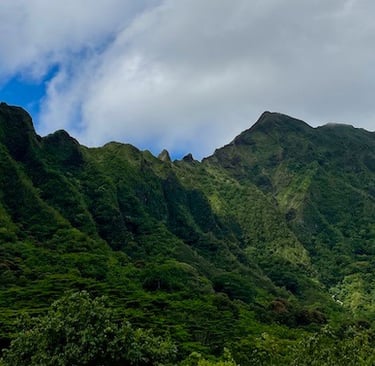 Ho'omaluhia Botanical Garden O'ahu Hawai'i