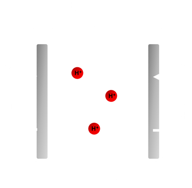 Simpe fuel cell schematic