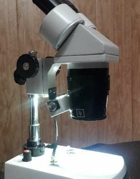 #STEREO MICROSCOPE