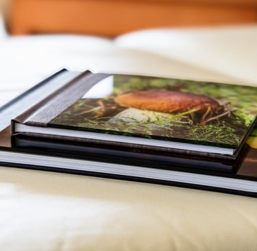 delux-fotoalbumas-akrilo ir juodos odos virseliu