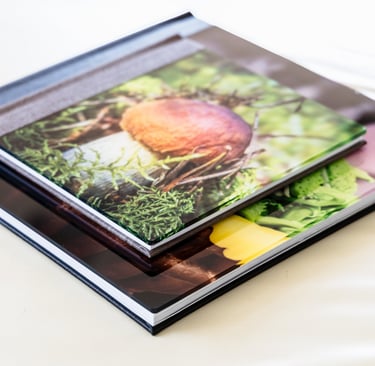 Delux fotoalbumai su akrilo ir dirbtinos odos viršeliu