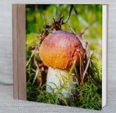 Delux fotoalbumas akriliniu viršeliu