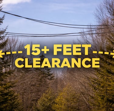 clearance needed for us to drop off shipping container, prevents hitting overhanging wires