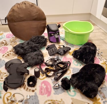 Bear pet play hood and gear.