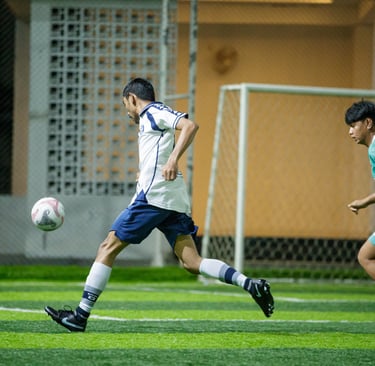 casco staff vs novief