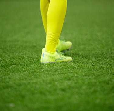 fc fascino vs dipo batam