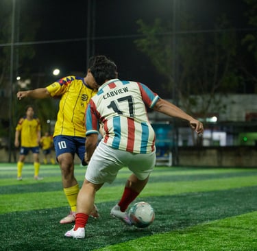 labview vs niasnesia fc