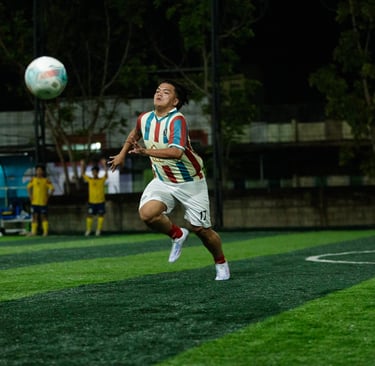 labview vs niasnesia fc