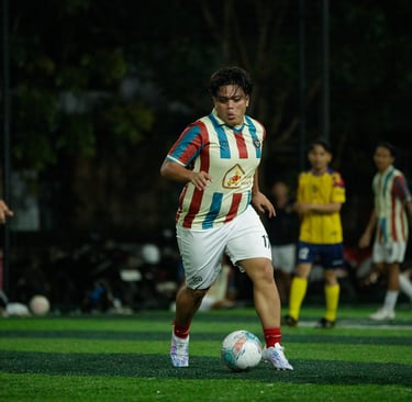 labview vs niasnesia fc