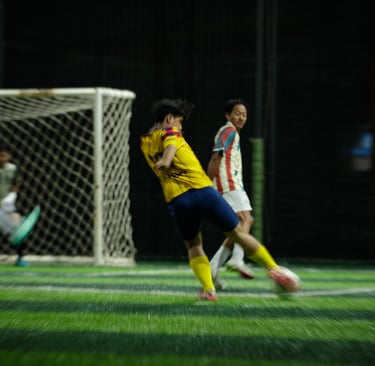 labview vs niasnesia fc