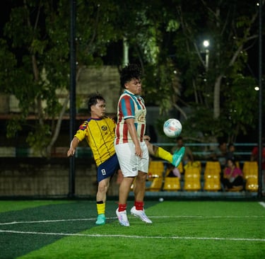 labview vs niasnesia fc