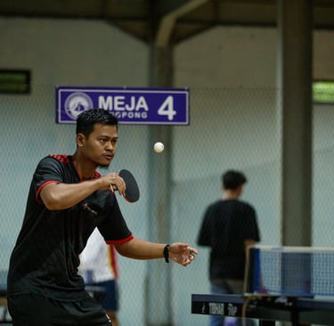 ping-pong postel
