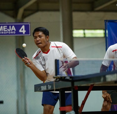ping-pong postel