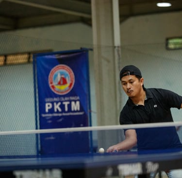 ping-pong postel