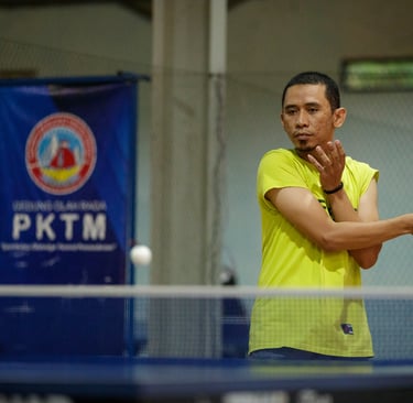 ping-pong postel