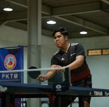 ping-pong postel