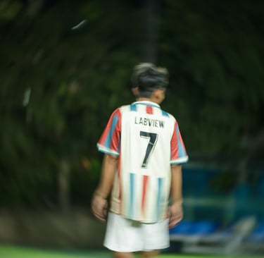 labview vs verdant valley