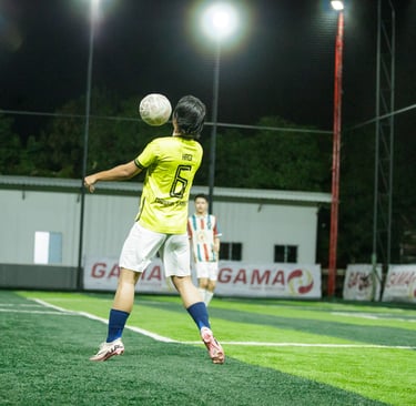 labview vs verdant valley