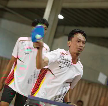 ping-pong postel