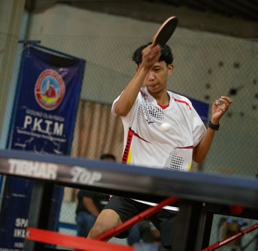 ping-pong postel