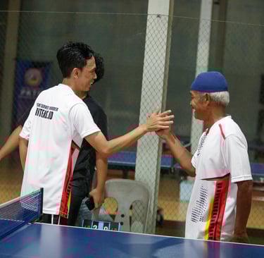 ping-pong postel