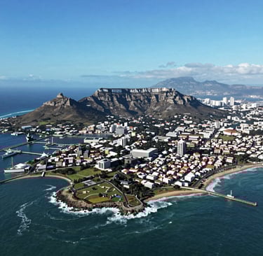 A close-up of a lion resting in tall golden grass under bright daylight.
