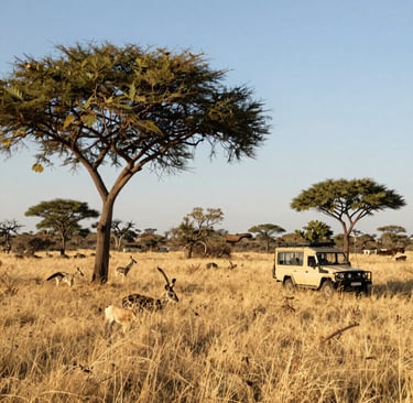 A panoramic view of Table Mountain under a clear blue sky, bathed in warm daylight.