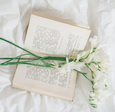 Minimal flat-lay with laptop and plant, symbolizing simple and supportive online business tools.